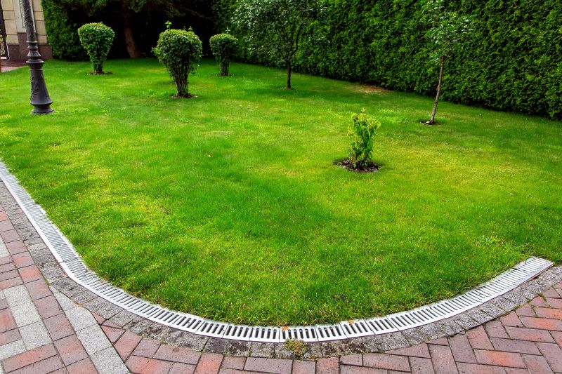 Professional Landscape Drainage
